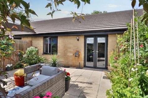 Rear Garden III