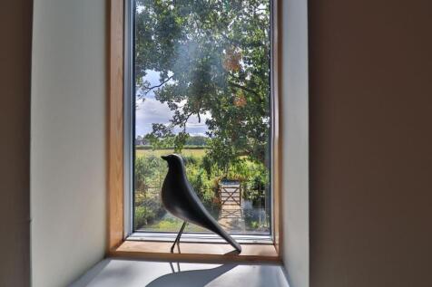 Window view