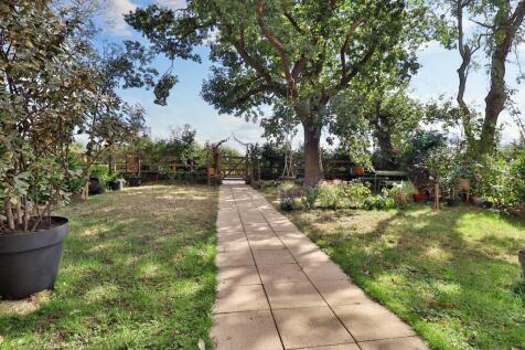 Front garden 