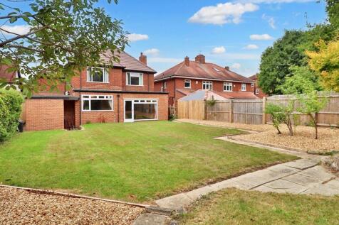 Rear Garden II