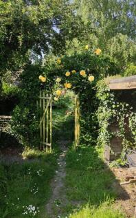 garden 1.jpg