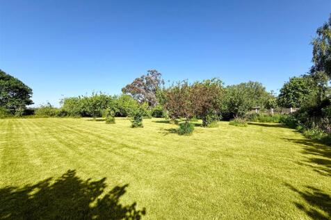 woodland/ orchard
