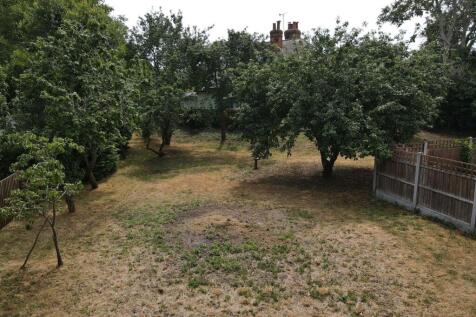orchard
