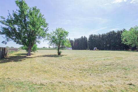 Field