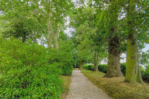 Woodland Area