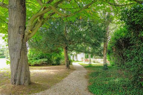 Woodland Area