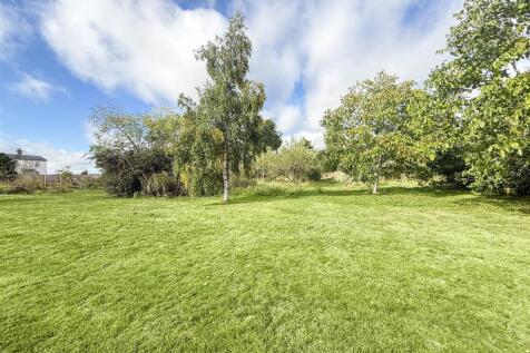 garden/orchard