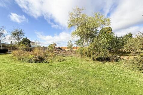 garden/orchard