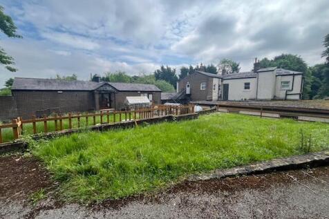 Rear Gdn T202505201443.jpg