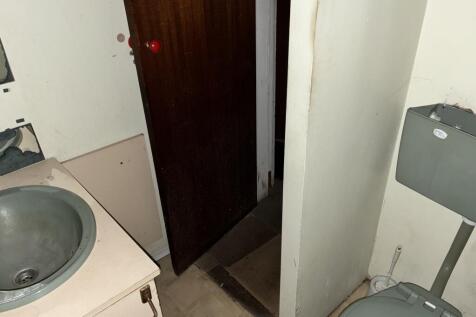 IMG 3039 T202510131258.jpeg