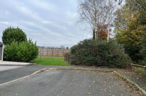 Ent Pic 3 T202508281009.jpg