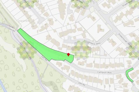 Main Pic 1 Campion T202510271231.jpg