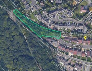 Pic 1 Campion T202510271231.jpg