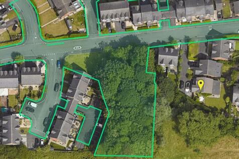 Lawnhurst Close Up T202509301209.jpg