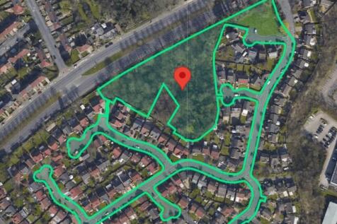 Amin Pic Blenheim T202507311502.jpg