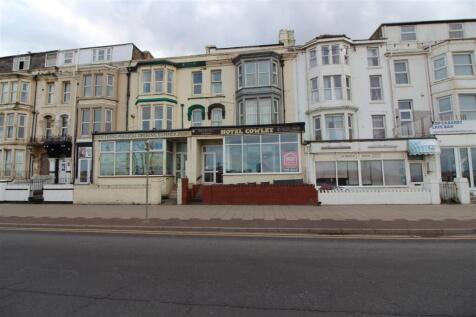 IMG 6571  Medium  T202509121352.jpg