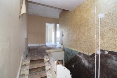 IMG 7331  Medium  T202512051225.jpg