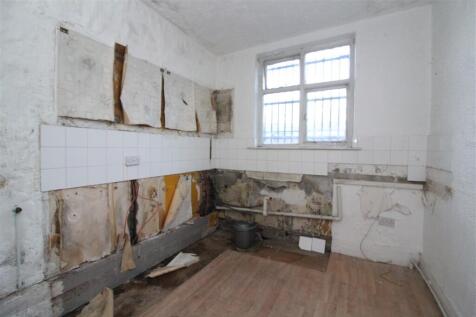 IMG 7325  Medium  T202512051225.jpg