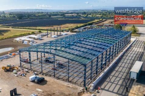 watermarked front.jpg