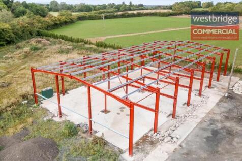 watermarked front.jpg