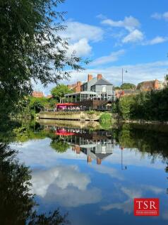 River Image.jpg
