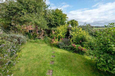 The Garden