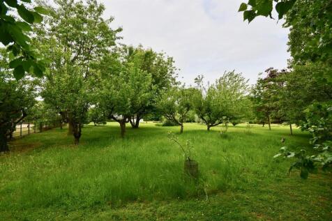 Orchard