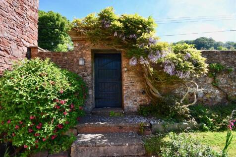 Wisteria