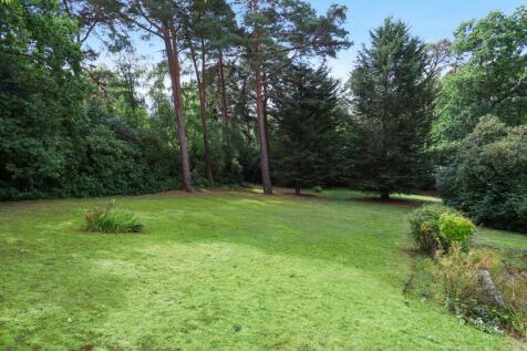 Property Image 39
