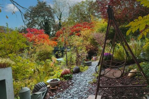 Property Image 50