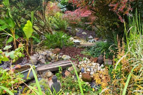 Property Image 57