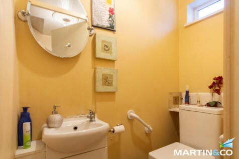 Picture6