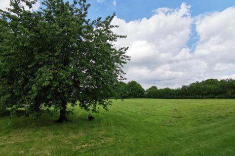 Community Field 