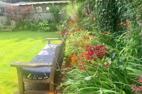 Mature Plants