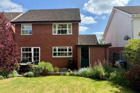 Rear of House