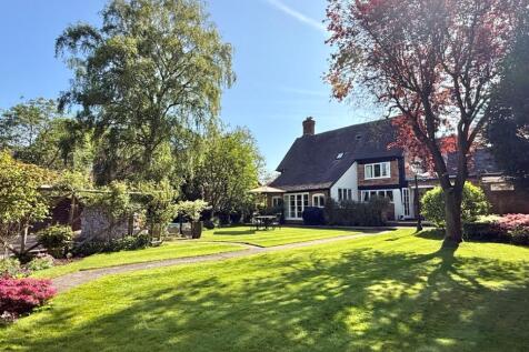 Rear of House