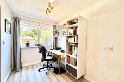 Study Area