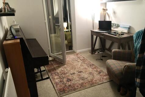 Study Area 