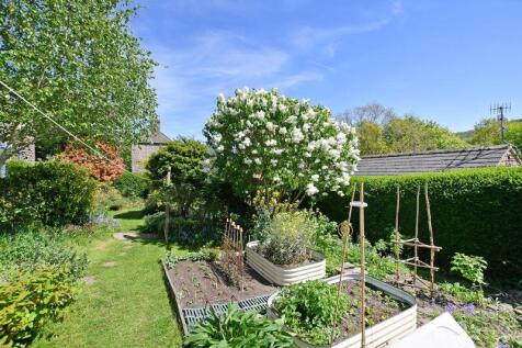 Part of Garden