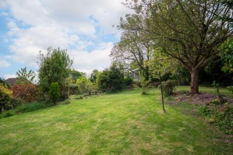 Part of Garden