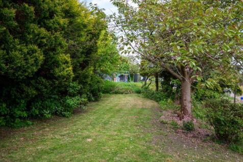 Part of Garden