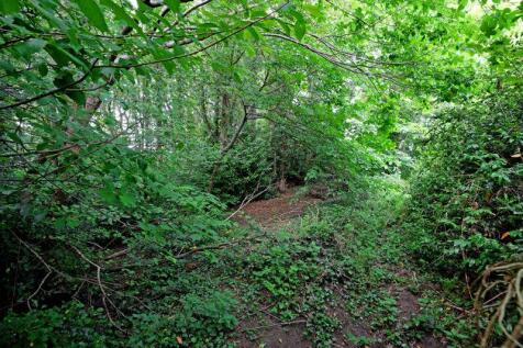 Woodland 