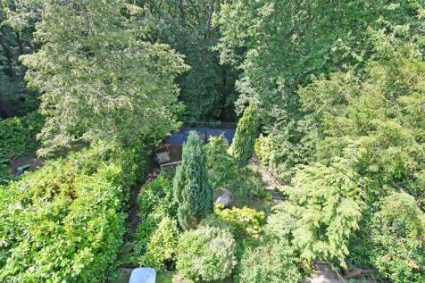 View from Balcony 