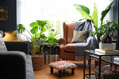 Beautiful Interior