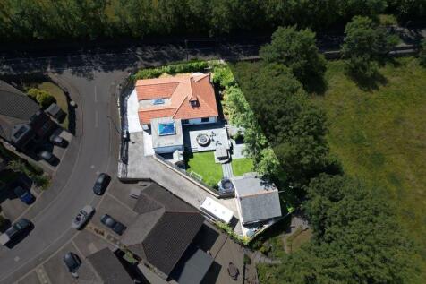 Aerial Image