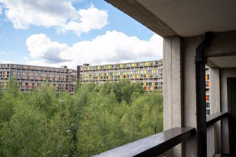 Views from Balcony 