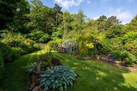 Part of Garden