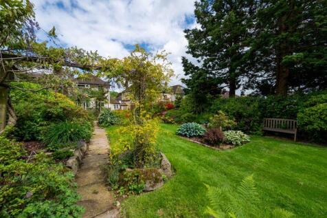 Part of Garden