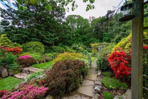 Attractive Planting