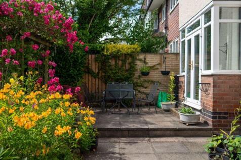 Rear Patio